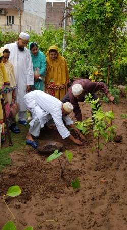 Daar us Salaam: Nature Walk and Tree Plantation